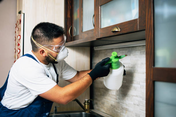 Best Cockroach Control Services  in De Soto, IA
