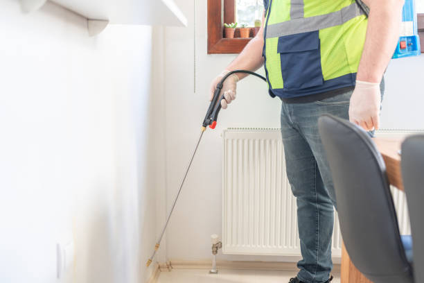 Professional Pest Control in De Soto, IA