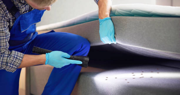 Best Bed Bug Extermination  in De Soto, IA