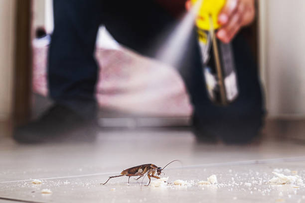 Best Emergency Pest Control  in De Soto, IA