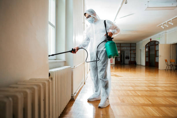 Best Pest Removal Services  in De Soto, IA