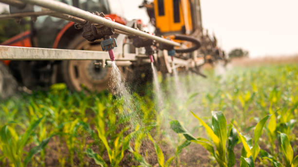 Best Mosquito Control Services  in De Soto, IA